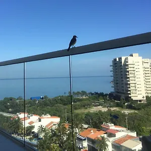 Areia Paradaise Colombia